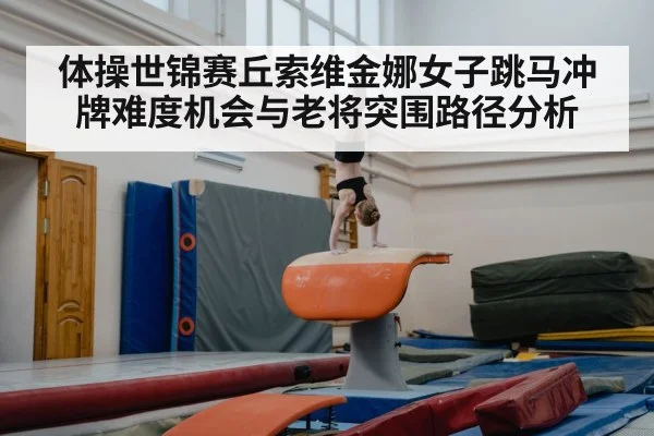 gymnastics vault